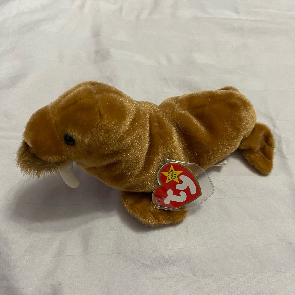 Paul the Walrus Ty beanie baby